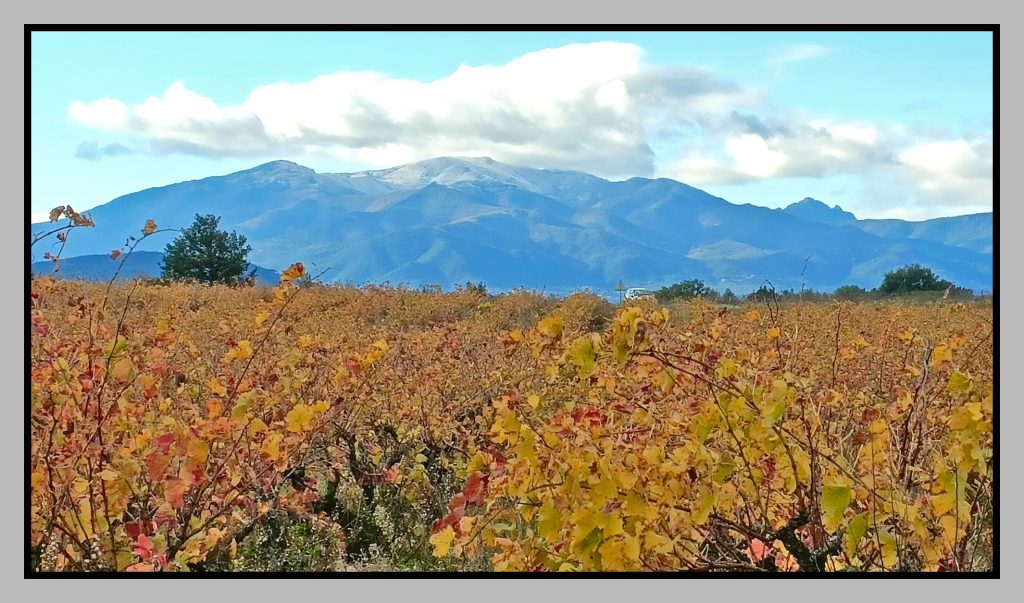randovelo34.fr L'automne au pied du massif du Canigou