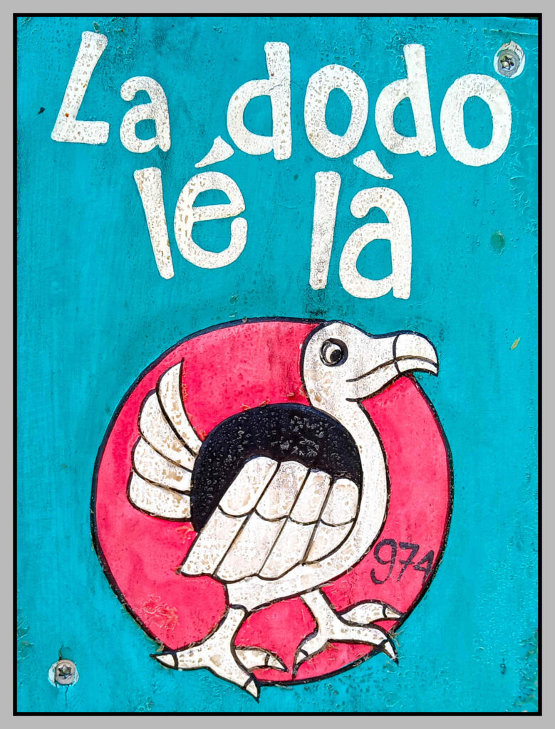 La Réunion. La Dodo, boisson emblématique.